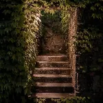 Prado Do Xisto - De Madeira A 7km De 4*