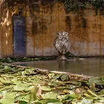 Affittacamere Prado Do Xisto - De Madeira A 7km De Braga