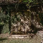 Affittacamere Prado Do Xisto - De Madeira A 7km De Braga