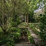 Prado Do Xisto - De Madeira A 7km De 4* Braga