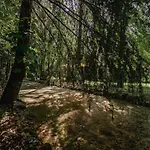 Prado Do Xisto - De Madeira A 7km De Affittacamere 4*