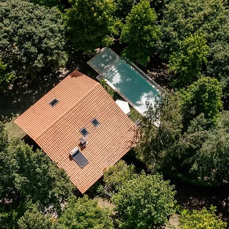 Affittacamere Prado Do Xisto - De Madeira A 7km De