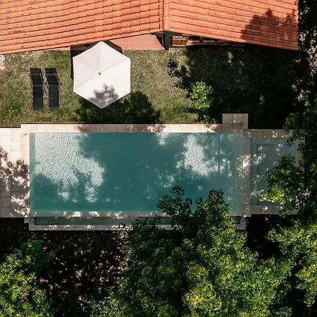 Prado Do Xisto - De Madeira A 7km De Affittacamere