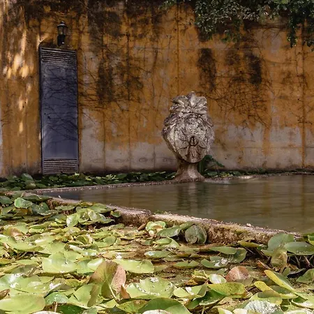 Pensjonat Prado Do Xisto - Chale De Madeira A 7km De Braga