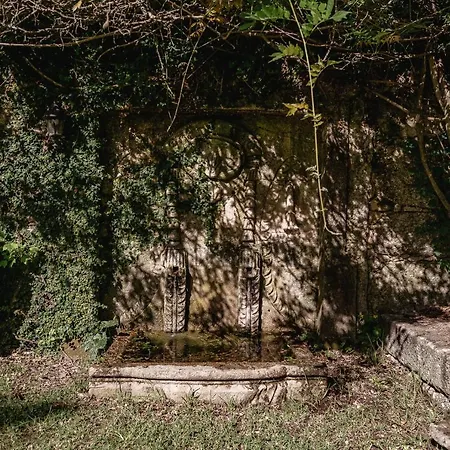 Pensjonat Prado Do Xisto - Chale De Madeira A 7km De Braga