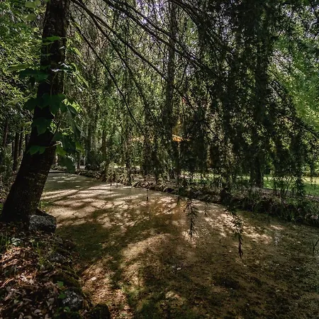 Prado Do Xisto - Chale De Madeira A 7km De Pensjonat 4*