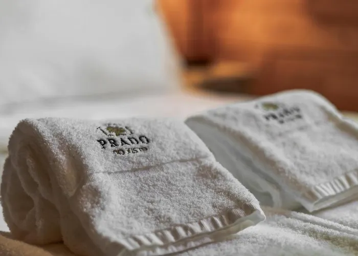 Prado Do Xisto - De Madeira A 7km De Braga