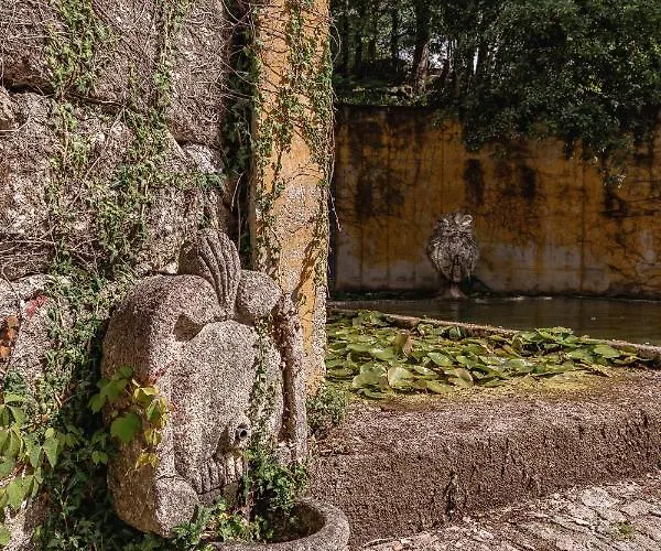 Prado Do Xisto - De Madeira A 7km De Maison d'hôtes Braga