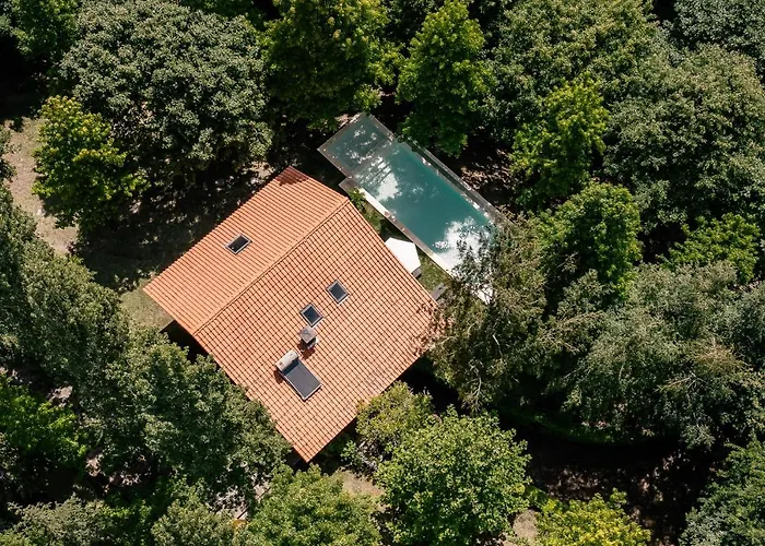 Affittacamere Prado Do Xisto - De Madeira A 7km De