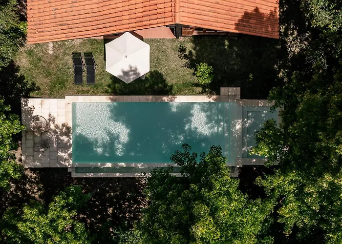 Prado Do Xisto - De Madeira A 7km De Affittacamere