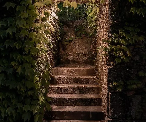 Prado Do Xisto - De Madeira A 7km De 4*