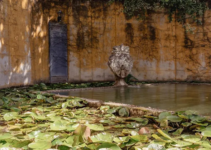 Affittacamere Prado Do Xisto - De Madeira A 7km De Braga
