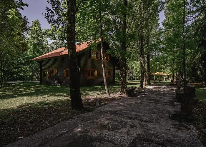 Prado Do Xisto - De Madeira A 7km De 4* Braga