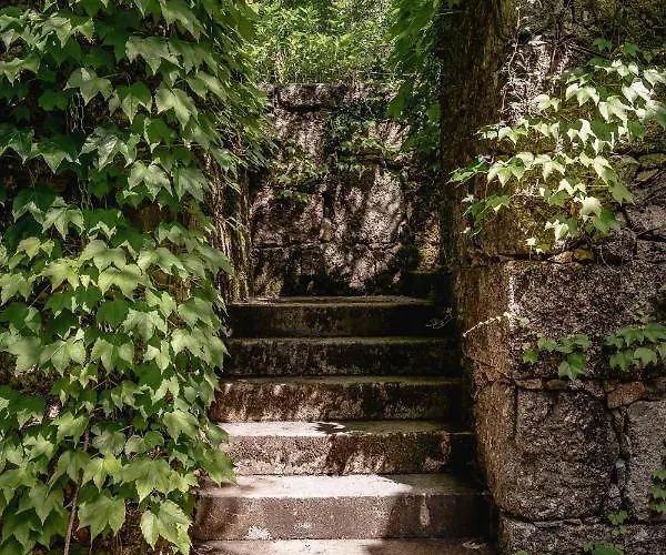 Prado Do Xisto - De Madeira A 7km De Affittacamere 4*