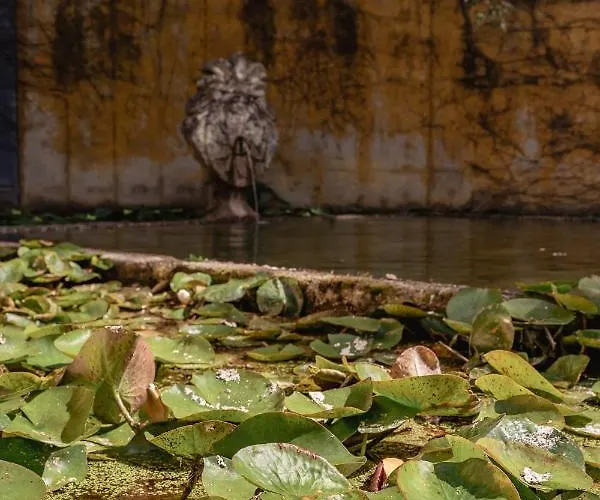 Affittacamere Prado Do Xisto - De Madeira A 7km De