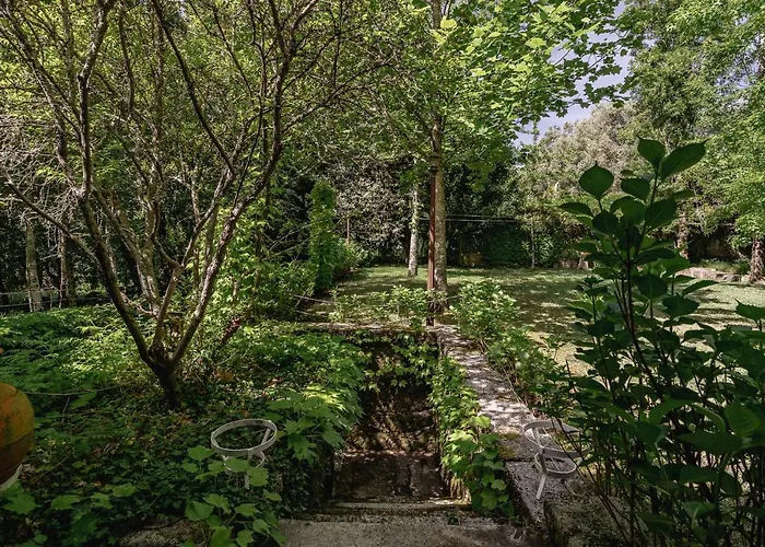 Prado Do Xisto - De Madeira A 7km De 4* Braga