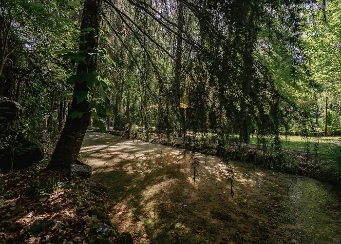 Prado Do Xisto - De Madeira A 7km De Affittacamere 4*