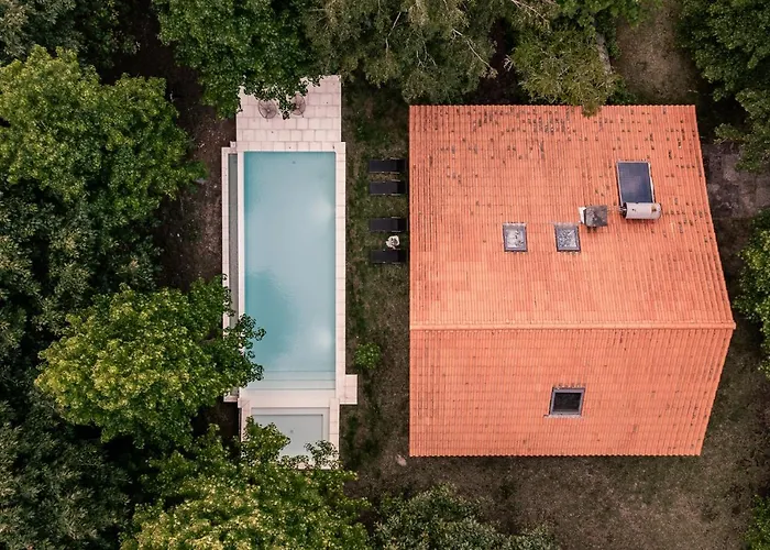 Prado Do Xisto - De Madeira A 7km De Affittacamere