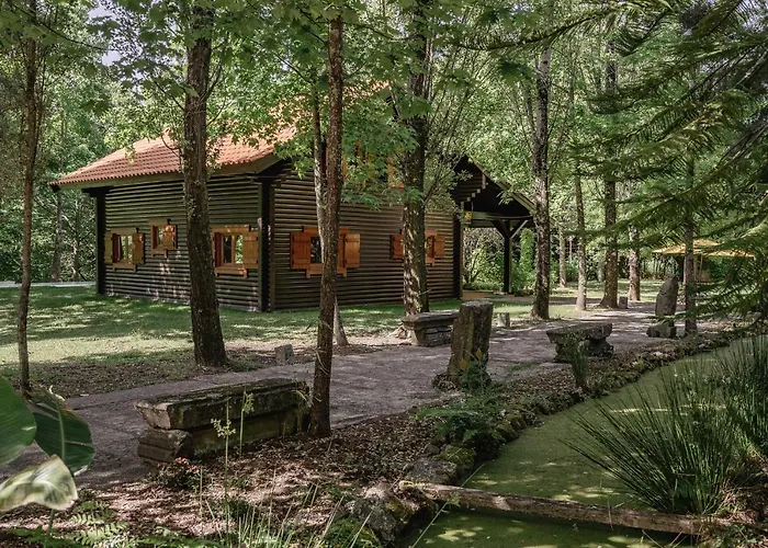 Prado Do Xisto - De Madeira A 7km De Affittacamere Braga